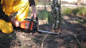 Best Soil Testing and Treatment  in Woodlyn, PA